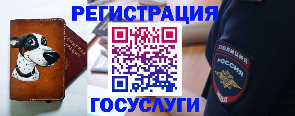 временная регистрация в квартире в Жердевке